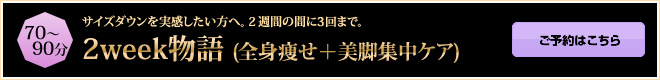 90分　太ももムダ肉撃退コース