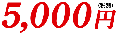 5,000円(税別)