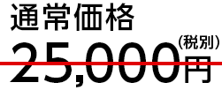 通常価格27,000円(税別)